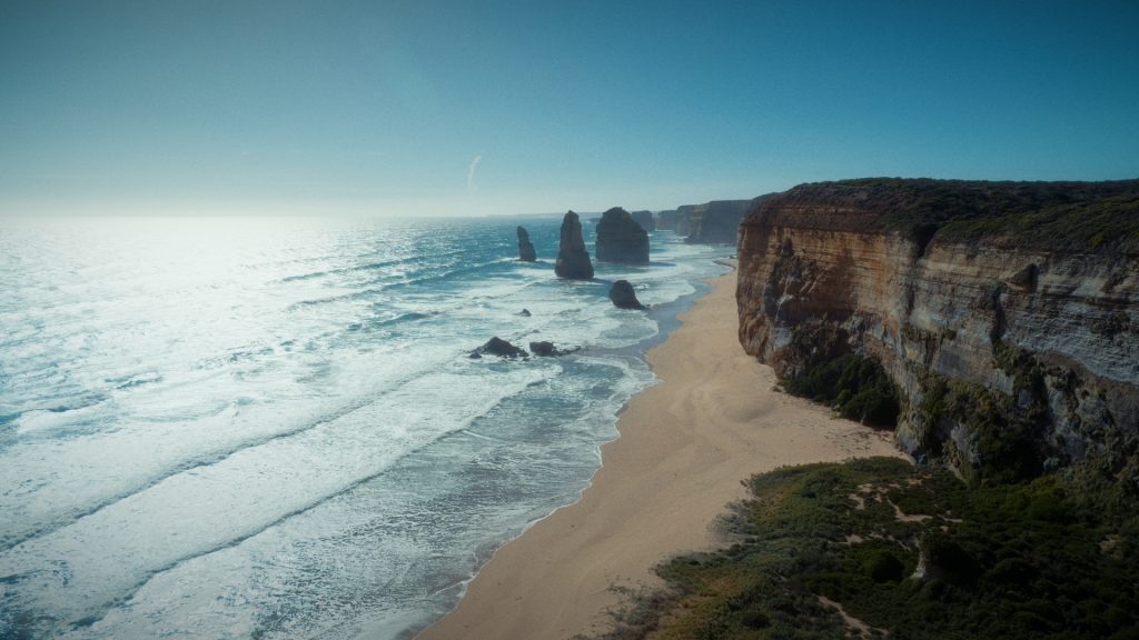 timeline 1 01 31 19 21