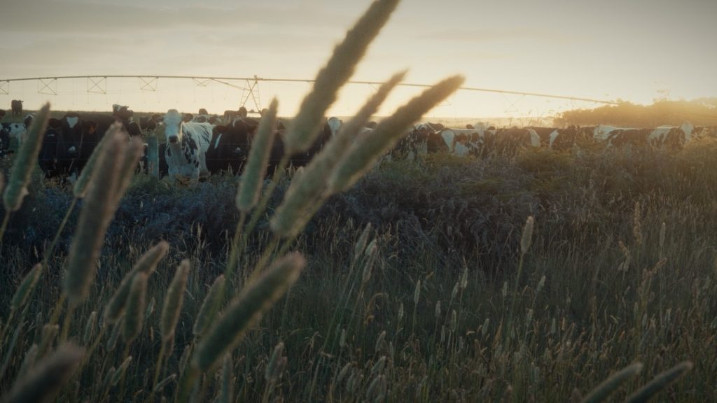 Instagram post from isurucine. This post is in position 3.