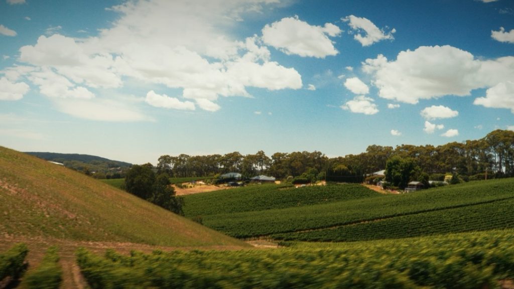 Instagram post from isurucine. This post is in position 2.